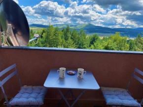 Apartman M&M Zlatibor